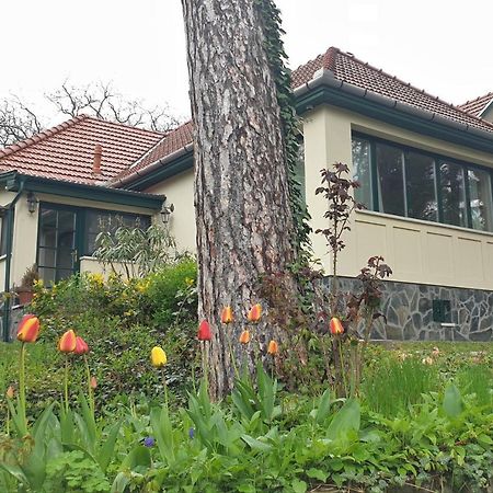 Edit Villa Matrafured Eksteriør bilde