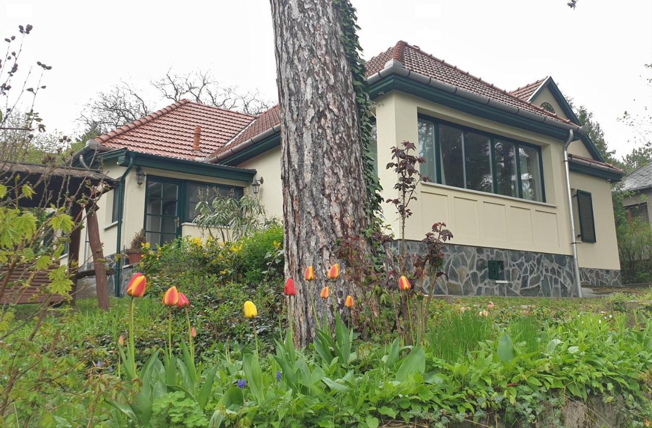 Edit Villa Matrafured Eksteriør bilde