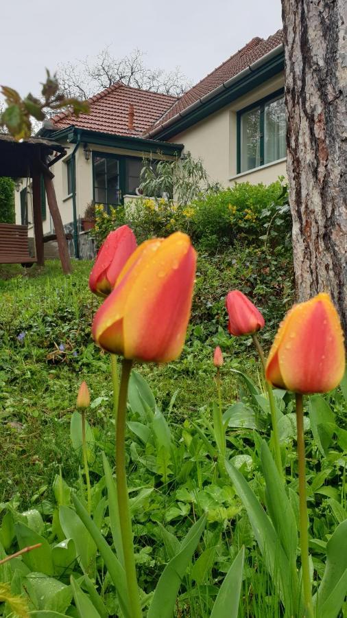 Edit Villa Matrafured Eksteriør bilde