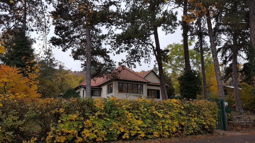 Edit Villa Matrafured Eksteriør bilde